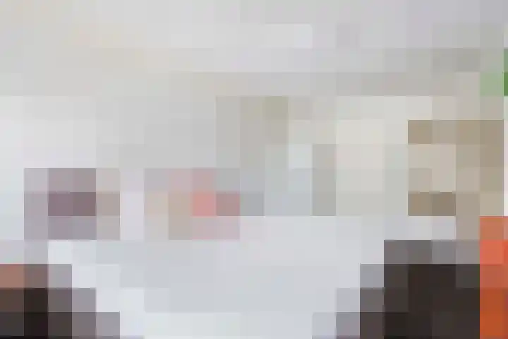Chamavenlaan 68 Apeldoorn thumbnail 20
