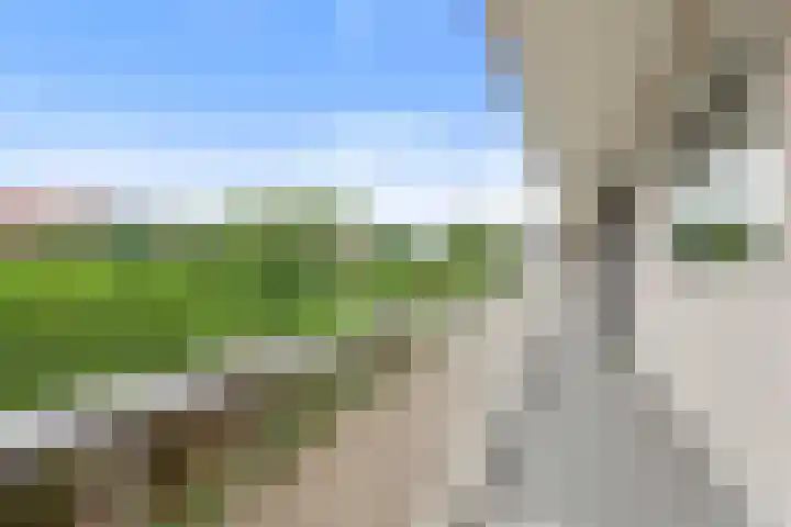 Chamavenlaan 68 Apeldoorn thumbnail 23