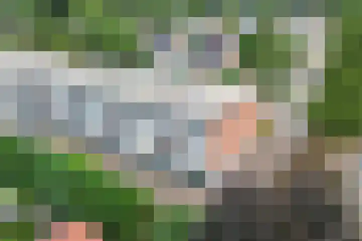 Chamavenlaan 68 Apeldoorn thumbnail 29