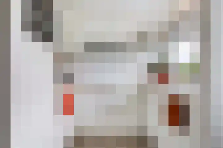Chamavenlaan 68 Apeldoorn thumbnail 6