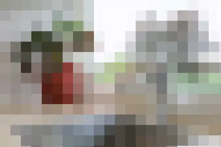 Chamavenlaan 68 Apeldoorn thumbnail 8