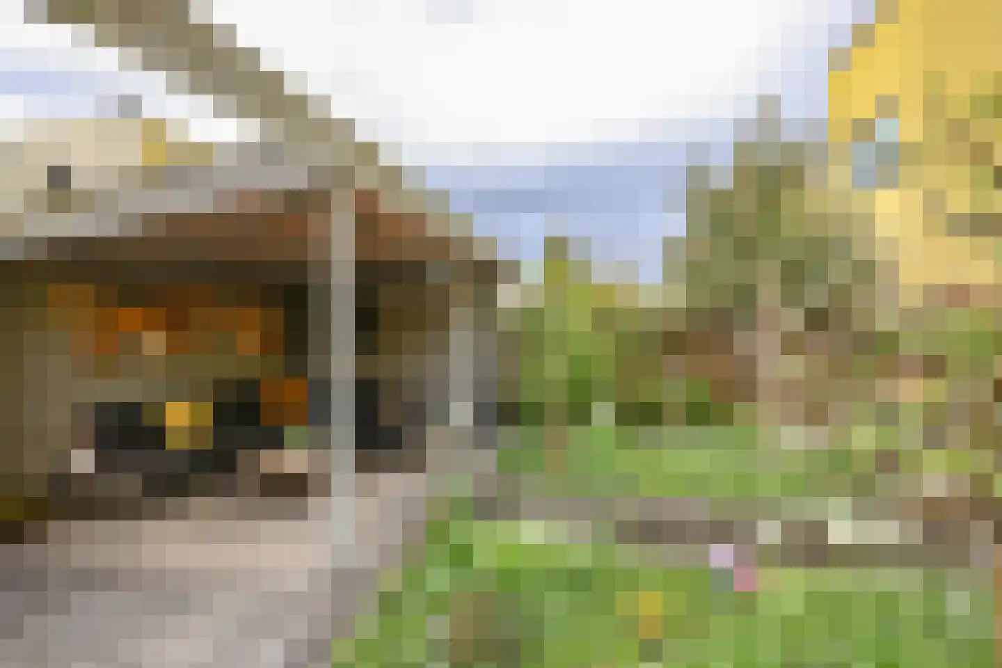 Chamoisstraat 30 Almere thumbnail 49