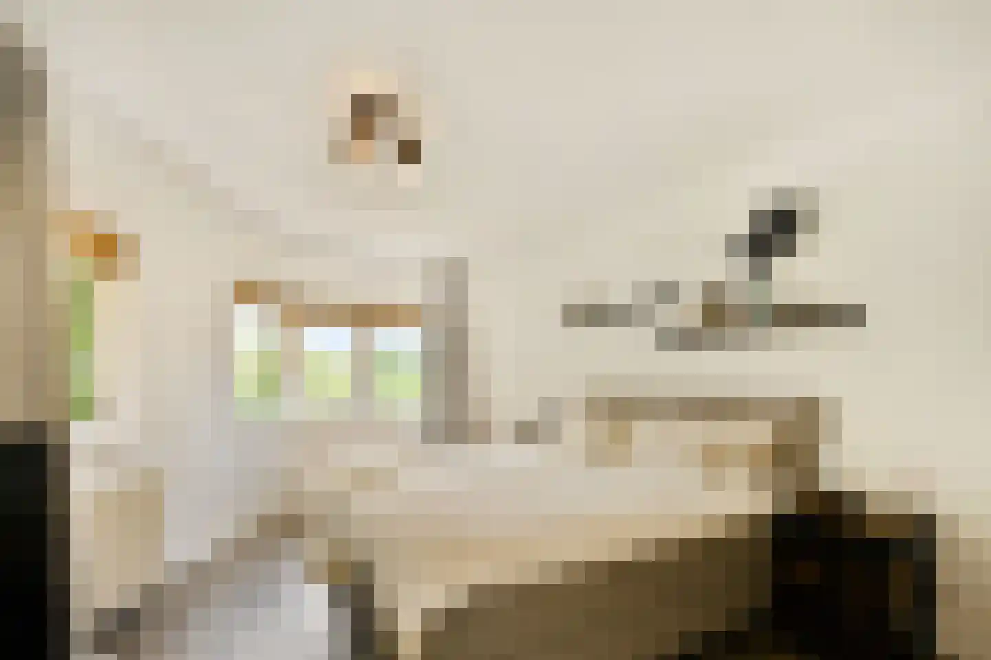 Chamoisstraat 32 Almere thumbnail 18