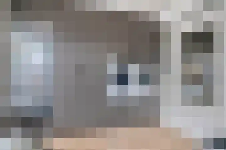 Chamonixlaan 149 Eindhoven thumbnail 14