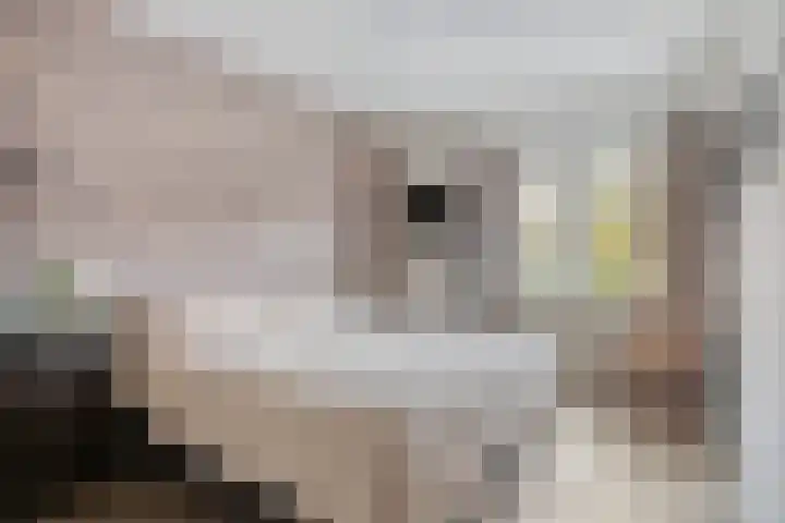Chamonixlaan 149 Eindhoven thumbnail 18