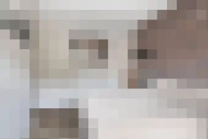 Chamonixlaan 149 Eindhoven thumbnail 19