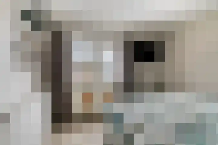 Chamonixlaan 149 Eindhoven thumbnail 20