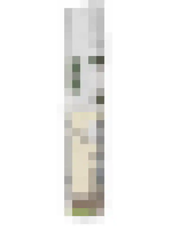 Chamonixlaan 149 Eindhoven thumbnail 39
