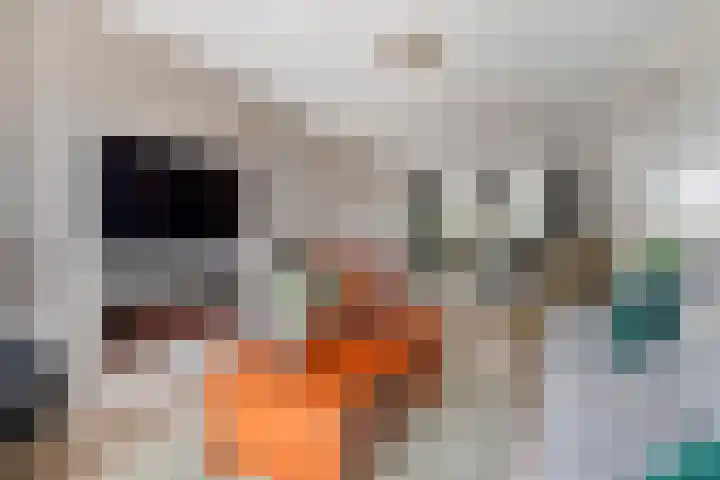 Chamonixlaan 149 Eindhoven thumbnail 8