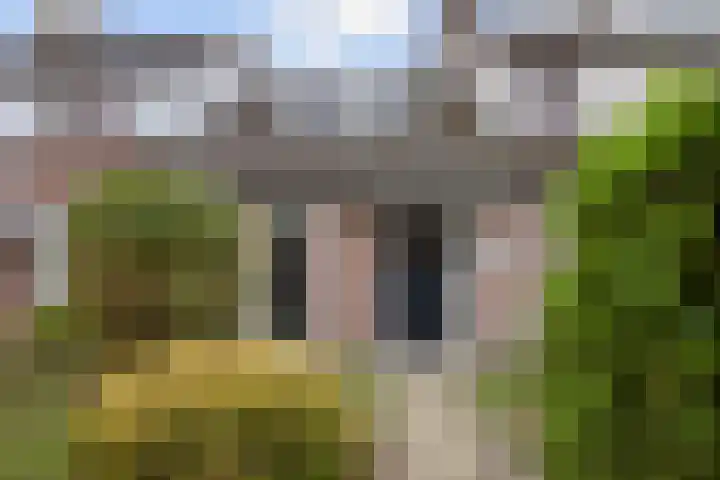 Chamonixlaan 21 Eindhoven thumbnail 10