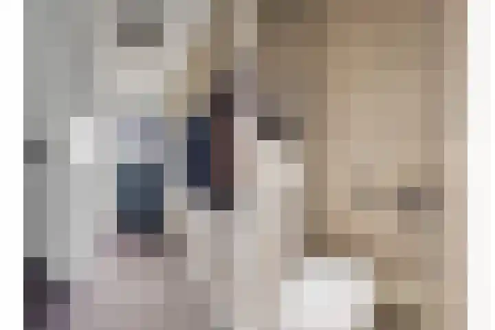 Chamonixlaan 21 Eindhoven thumbnail 11