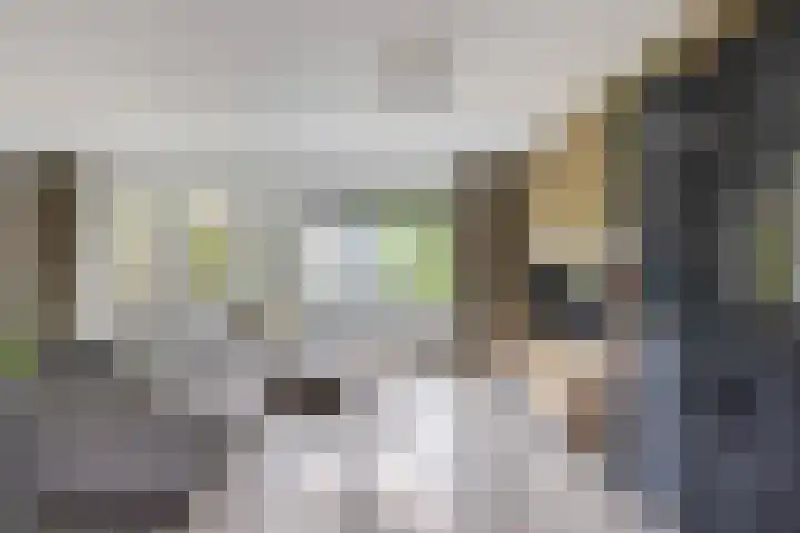 Chamonixlaan 21 Eindhoven thumbnail 12