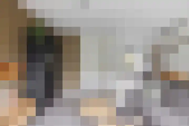 Chamonixlaan 21 Eindhoven thumbnail 13