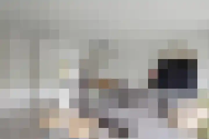 Chamonixlaan 21 Eindhoven thumbnail 14