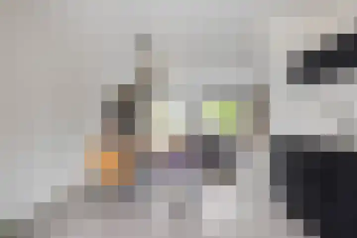 Chamonixlaan 21 Eindhoven thumbnail 16
