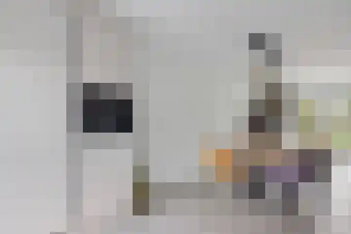 Chamonixlaan 21 Eindhoven thumbnail 19