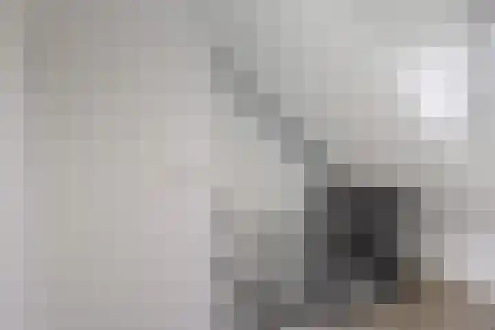 Chamonixlaan 21 Eindhoven thumbnail 20