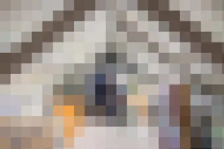 Chamonixlaan 21 Eindhoven thumbnail 31