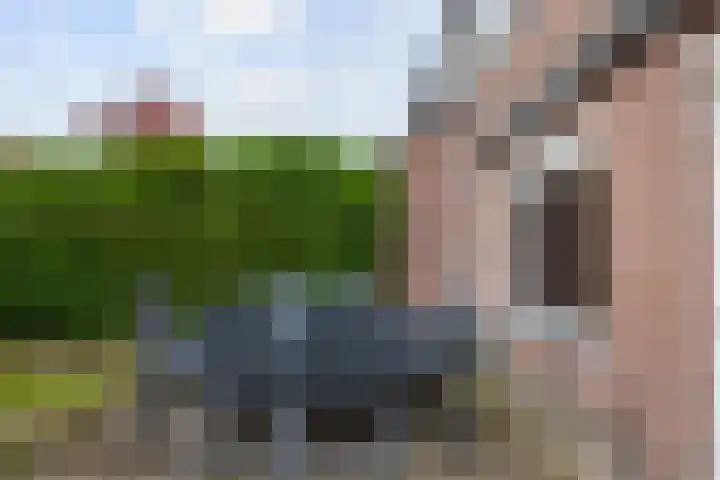 Chamonixlaan 21 Eindhoven thumbnail 37