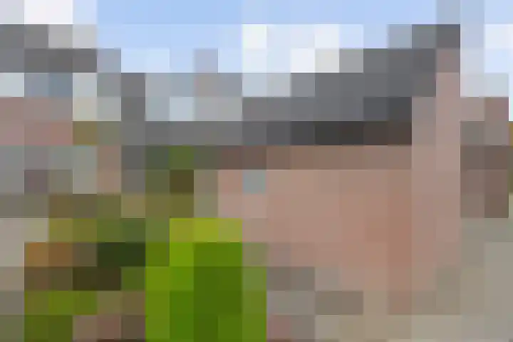 Chamonixlaan 21 Eindhoven thumbnail 38