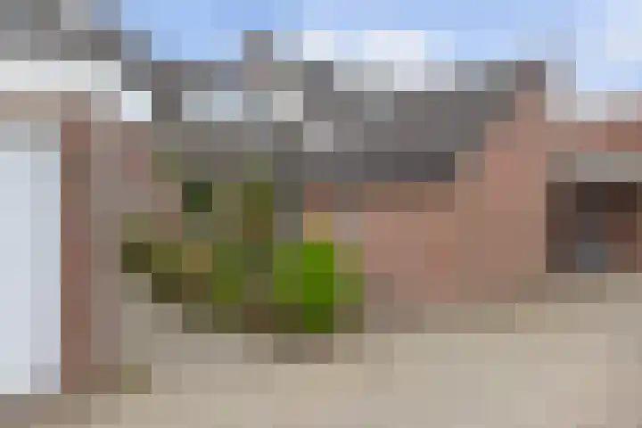 Chamonixlaan 21 Eindhoven thumbnail 8