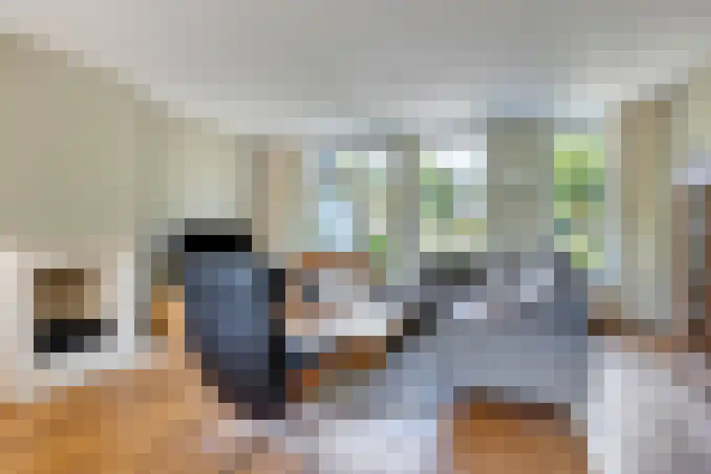 Champagnehof 14 Eindhoven thumbnail 7