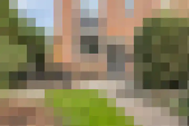 Champetterberg 117 Roosendaal thumbnail 39