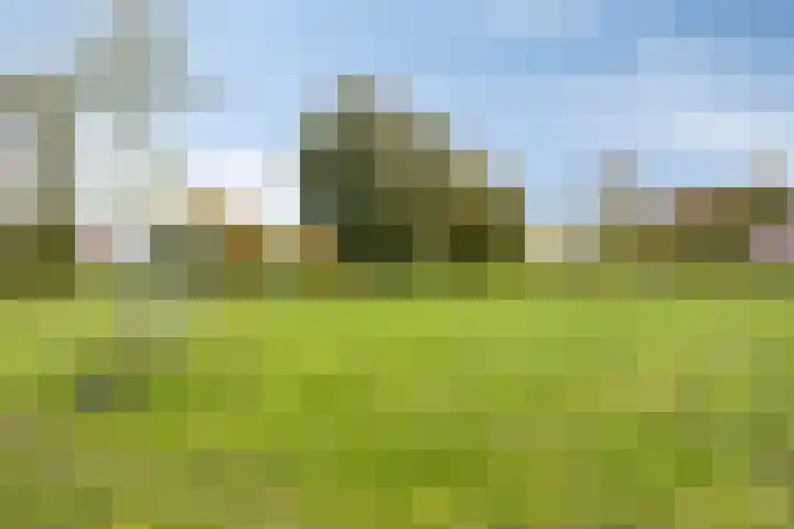 Champetterberg 117 Roosendaal thumbnail 51