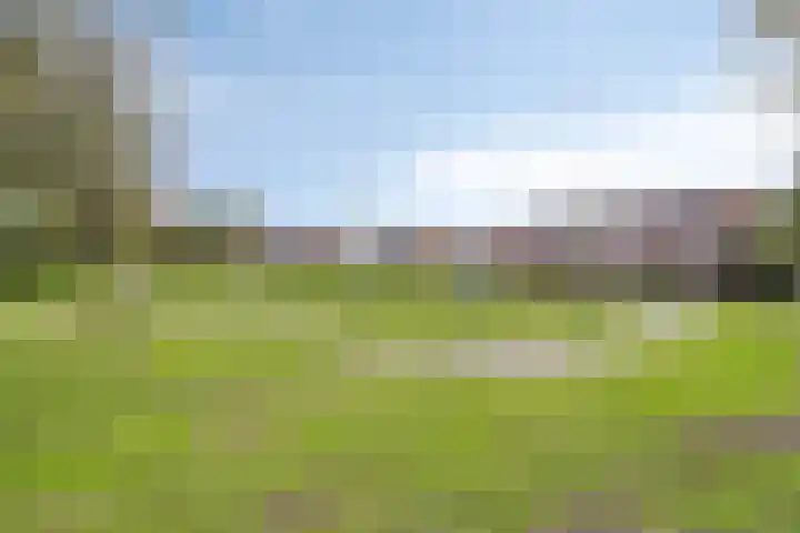 Champetterberg 117 Roosendaal thumbnail 52