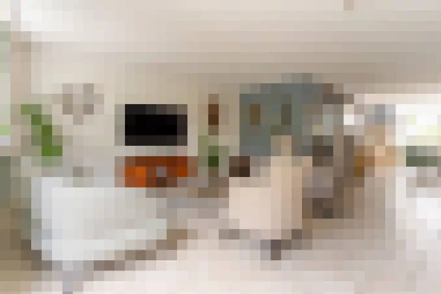 Chansondreef 10 Harderwijk thumbnail 10