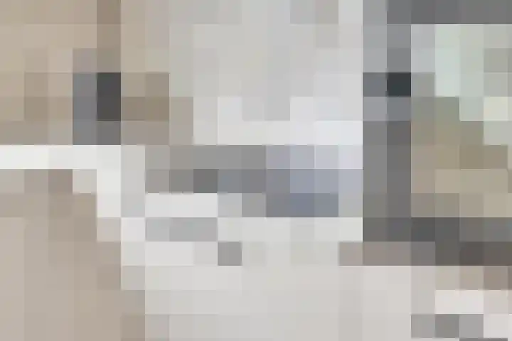 Chansondreef 13 Harderwijk thumbnail 10