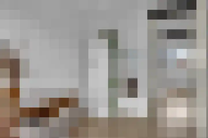 Chansondreef 13 Harderwijk thumbnail 26