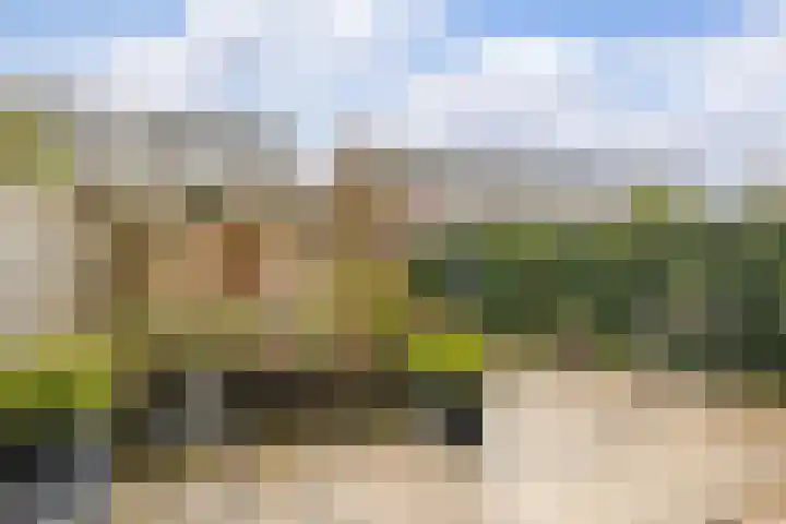 Chansondreef 13 Harderwijk thumbnail 35