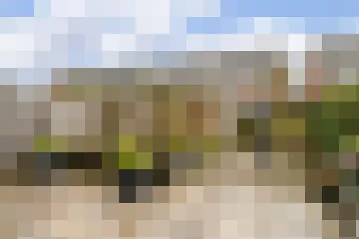 Chansondreef 13 Harderwijk thumbnail 36