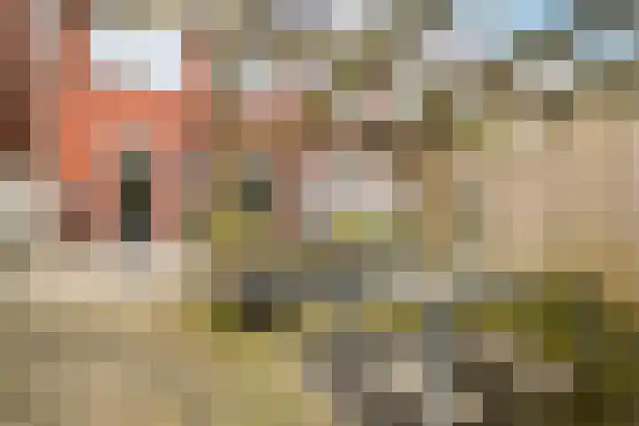 Chansondreef 13 Harderwijk thumbnail 38