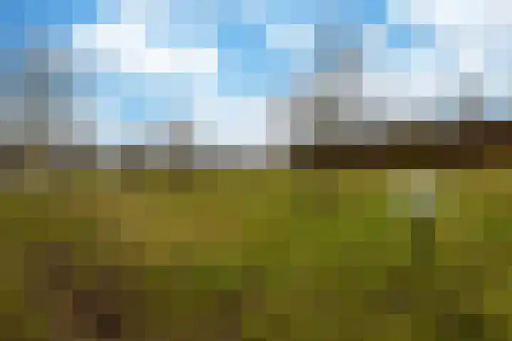 Chansondreef 13 Harderwijk thumbnail 39