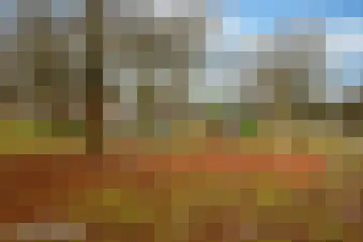 Chansondreef 13 Harderwijk thumbnail 40