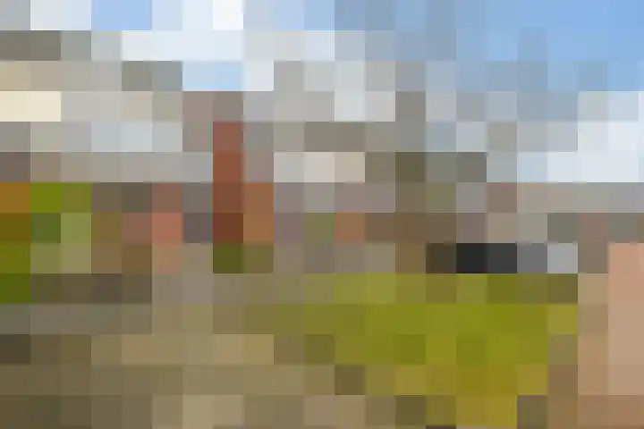 Chansondreef 13 Harderwijk thumbnail 5