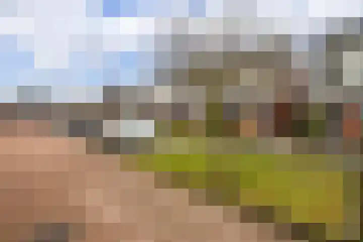 Chansondreef 13 Harderwijk thumbnail 6