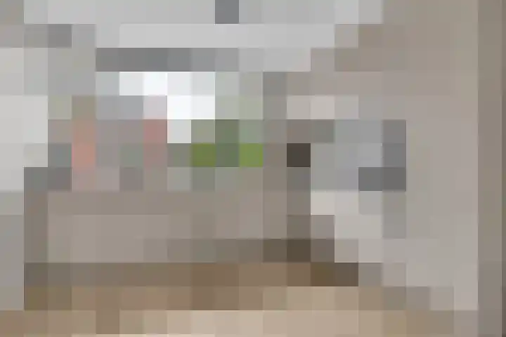 Chansondreef 13 Harderwijk thumbnail 9