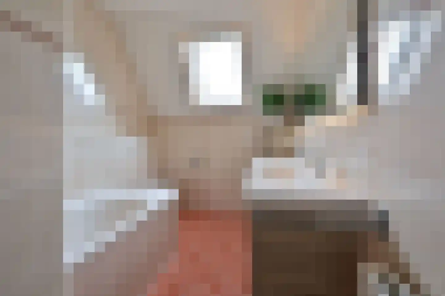 Chansondreef 35 Harderwijk thumbnail 10