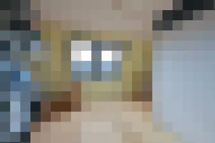 Chansondreef 35 Harderwijk thumbnail 17