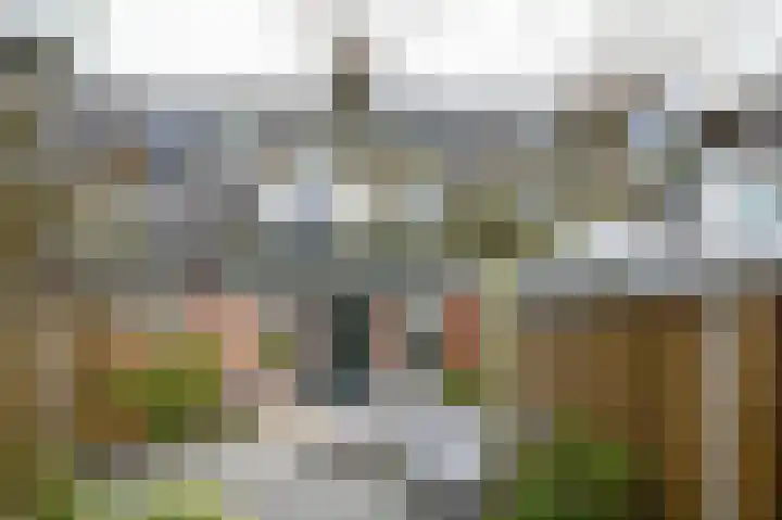 Chansondreef 35 Harderwijk thumbnail 18