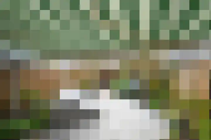 Chansondreef 35 Harderwijk thumbnail 19