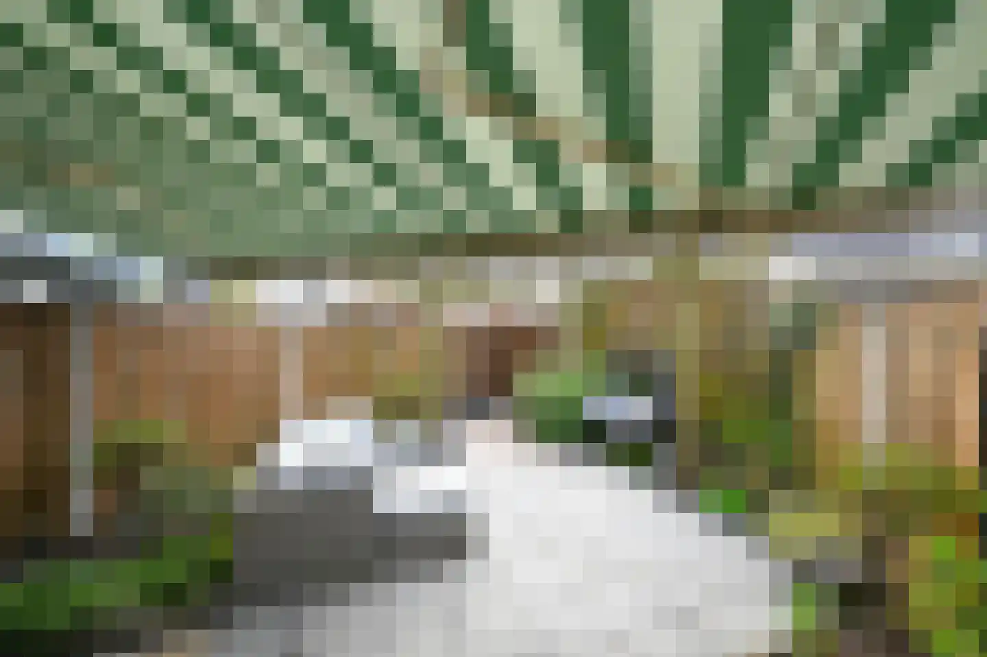 Chansondreef 35 Harderwijk thumbnail 19