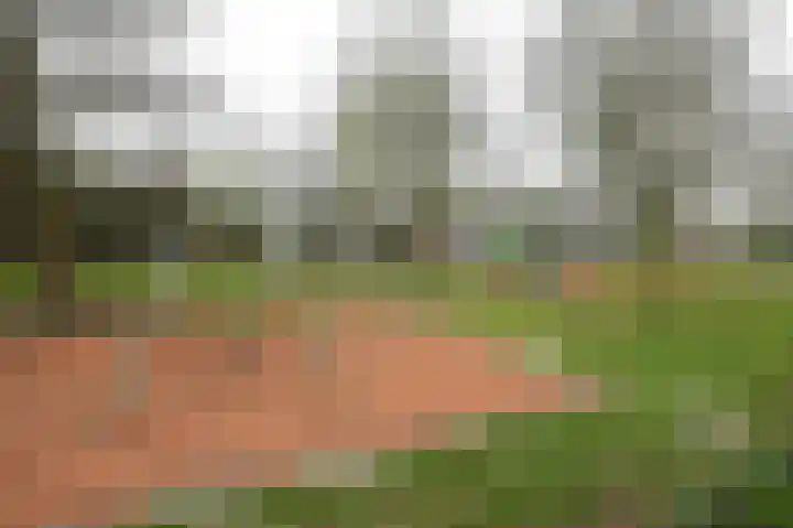 Chansondreef 35 Harderwijk thumbnail 23
