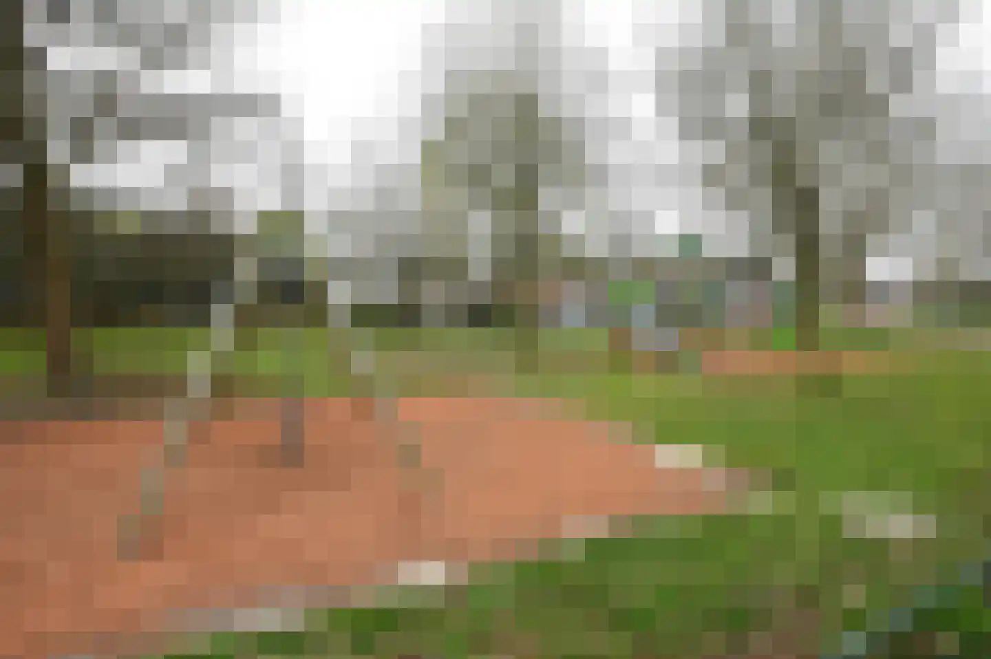 Chansondreef 35 Harderwijk thumbnail 23