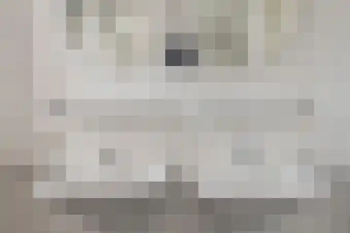 Chansondreef 36 Harderwijk thumbnail 25