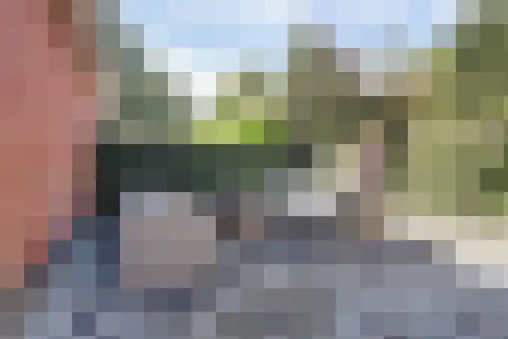 Chansondreef 36 Harderwijk thumbnail 33