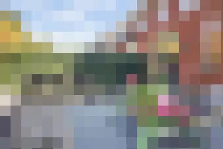 Chansondreef 36 Harderwijk thumbnail 34